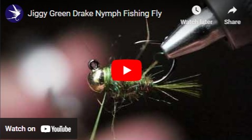 Tying a Jig Green Drake Nymph Fishing Fly